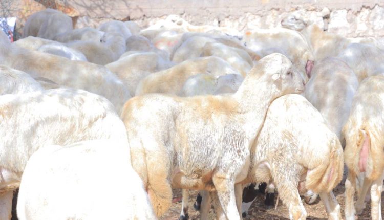 IMG_20250606_160725_551