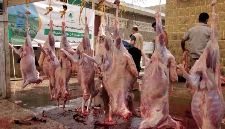 IMG_20250606_173400_910